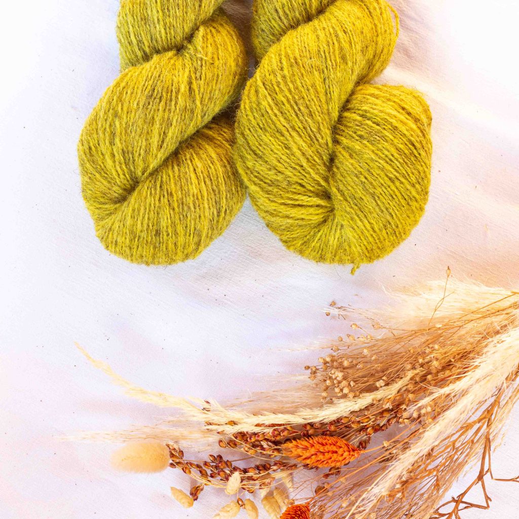 La Bretonne - Jaune